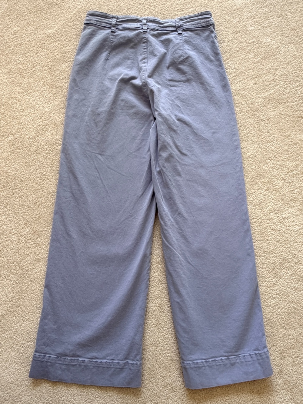 Marine Layer Bridget Wide Leg Crop Pants Blue Size 10 High Rise Cotton Blend - Picture 5 of 10